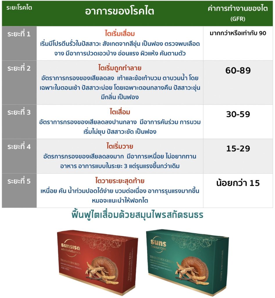 แก้ไตเสื่อม