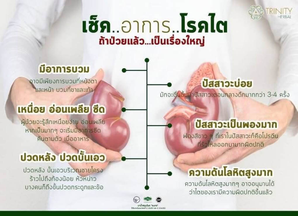 ไตเสื่อม อันตราย เป็นได้ทุกวัย